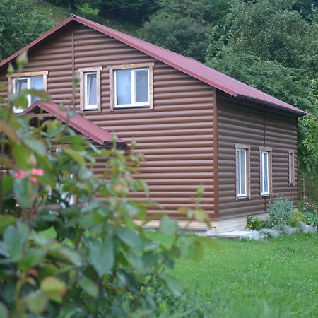 Pid Lisochkom Verkhovyna Exterior foto