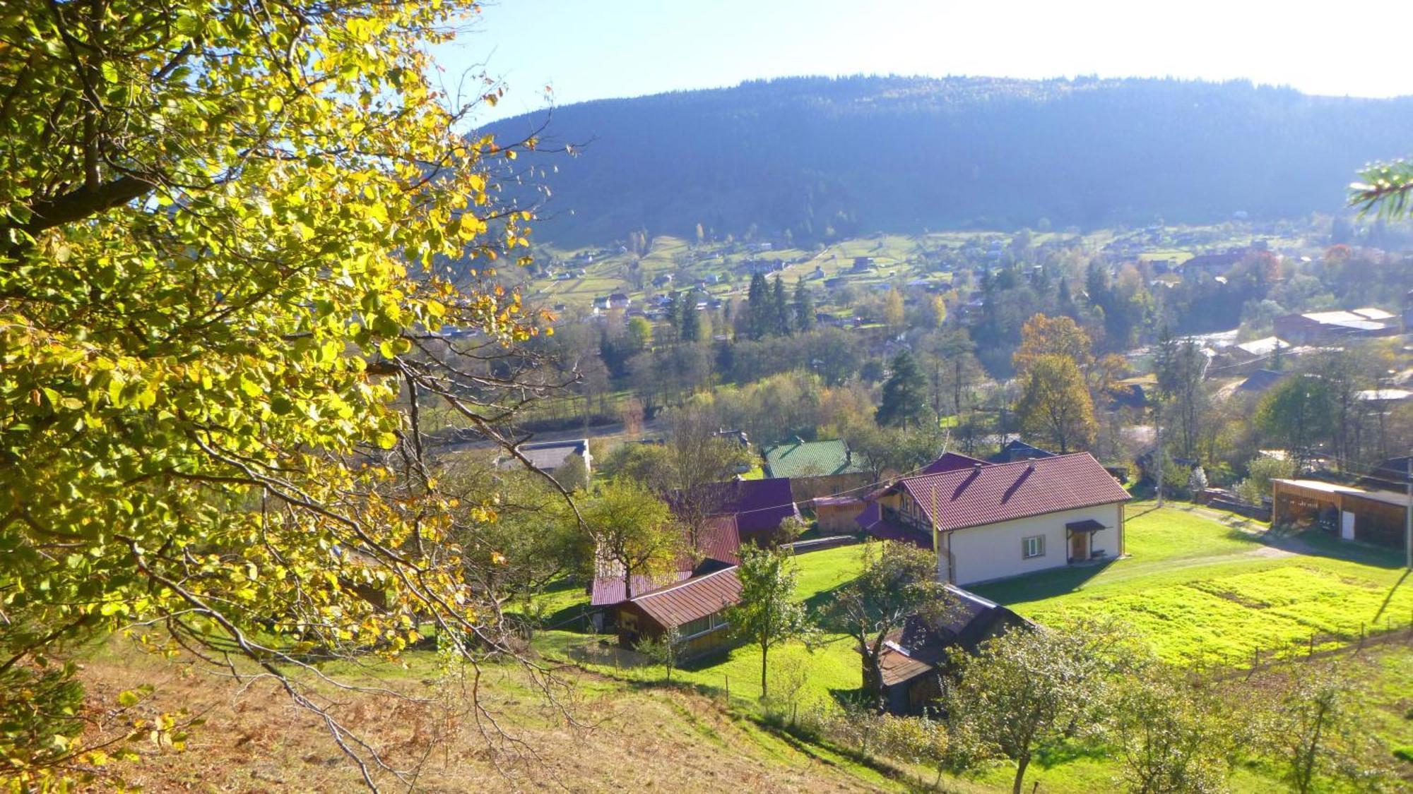 Pid Lisochkom Verkhovyna Exterior foto